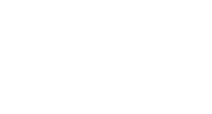 CONDOR-Logo_weiss