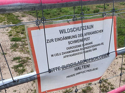 Warning sign at a fence against African Swine Fever