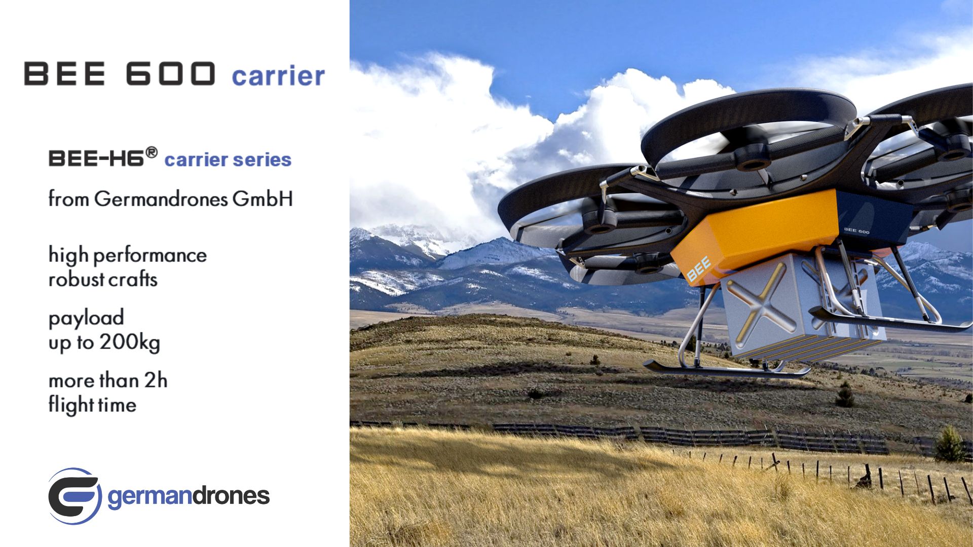 Germandrones BEE H6 carrier series